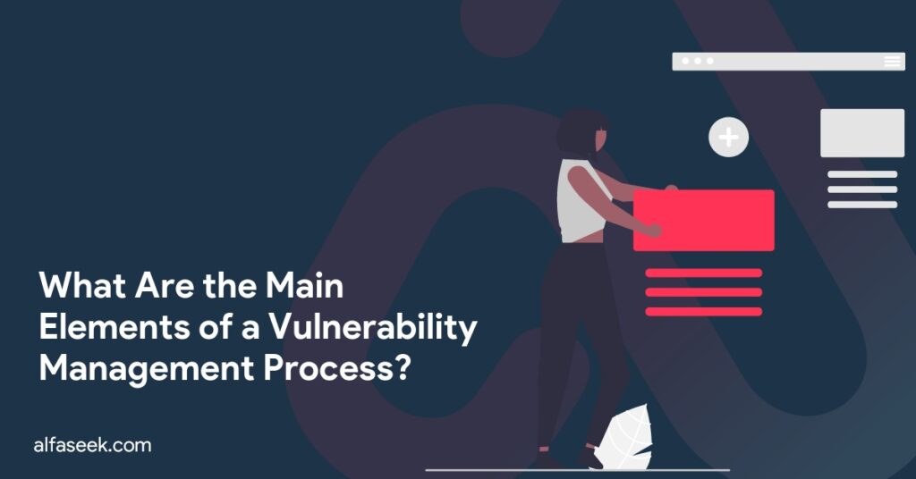 What Are the Main Elements of a Vulnerability Management Process?